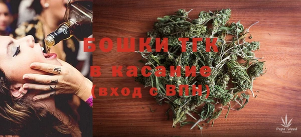 ПСИЛОЦИБИНОВЫЕ ГРИБЫ Балахна