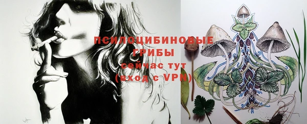 ПСИЛОЦИБИНОВЫЕ ГРИБЫ Балахна