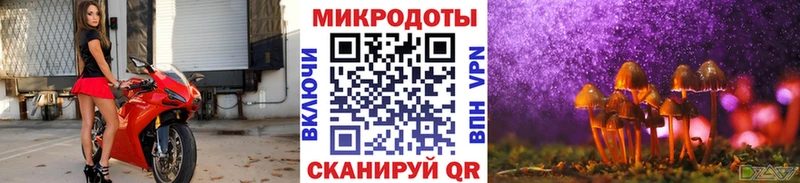 Галлюциногенные грибы Cubensis  Вяземский 